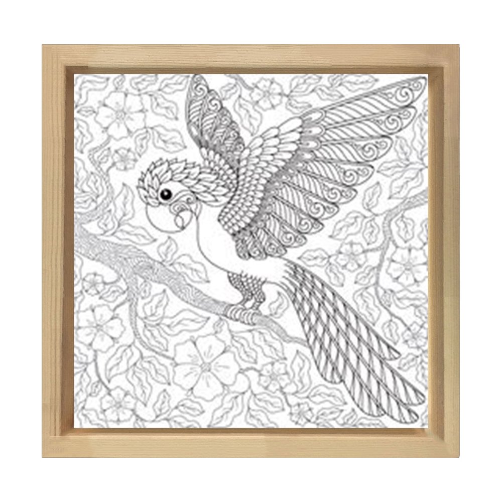 Papağan Boyama tablo Tablosu Naturel Ahşap Çerçeve - 30x30