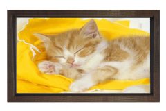 Kedi Tablosu Kahverengi Ahşap Çerçeve - 100x200