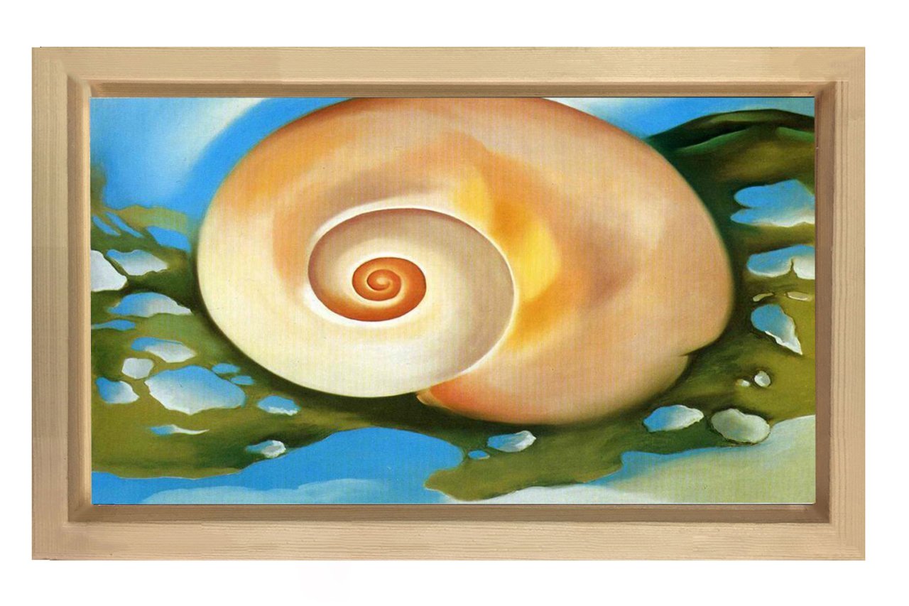 Kabuk Tablosu Naturel Ahşap Çerçeve - 70x100