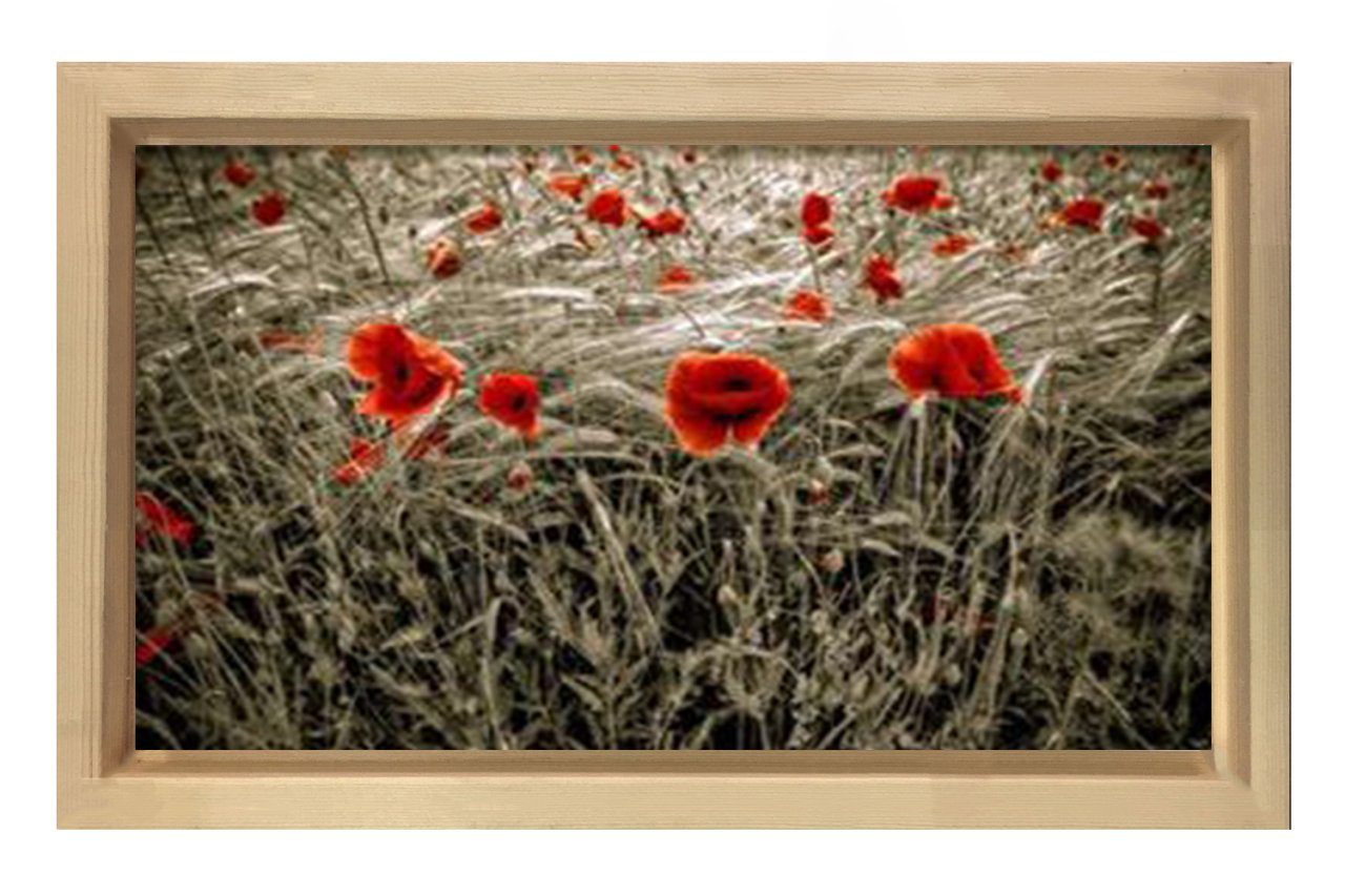 Gelincik Çiçekleri Tarlası Tablosu Naturel Ahşap Çerçeve - 50x90