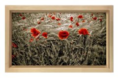 Gelincik Çiçekleri Tarlası Tablosu Naturel Ahşap Çerçeve - 50x90