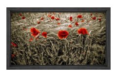Gelincik Çiçekleri Tarlası Tablosu Siyah Ahşap Çerçeve - 100x150