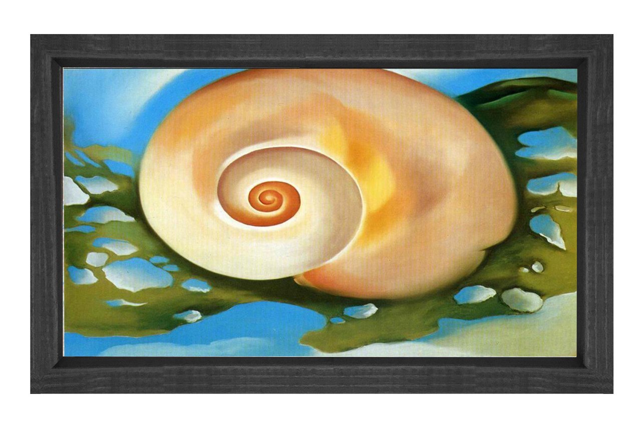 Kabuk Tablosu Siyah Ahşap Çerçeve - 45x30