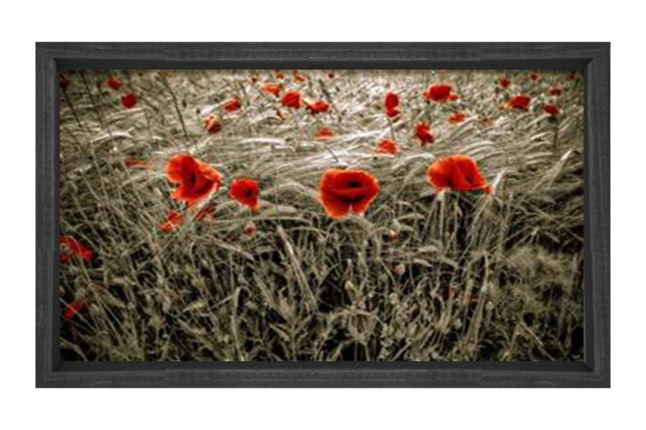 Gelincik Çiçekleri Tarlası Tablosu Siyah Ahşap Çerçeve - 100x200