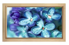 Mavi Menekşe Çiçekleri Tablosu Naturel Ahşap Çerçeve - 100x150