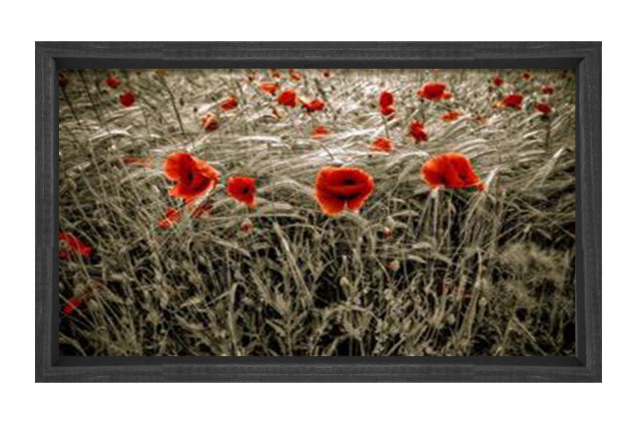 Gelincik Çiçekleri Tarlası Tablosu Siyah Ahşap Çerçeve - 40x60