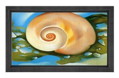 Kabuk Tablosu Siyah Ahşap Çerçeve - 50x90