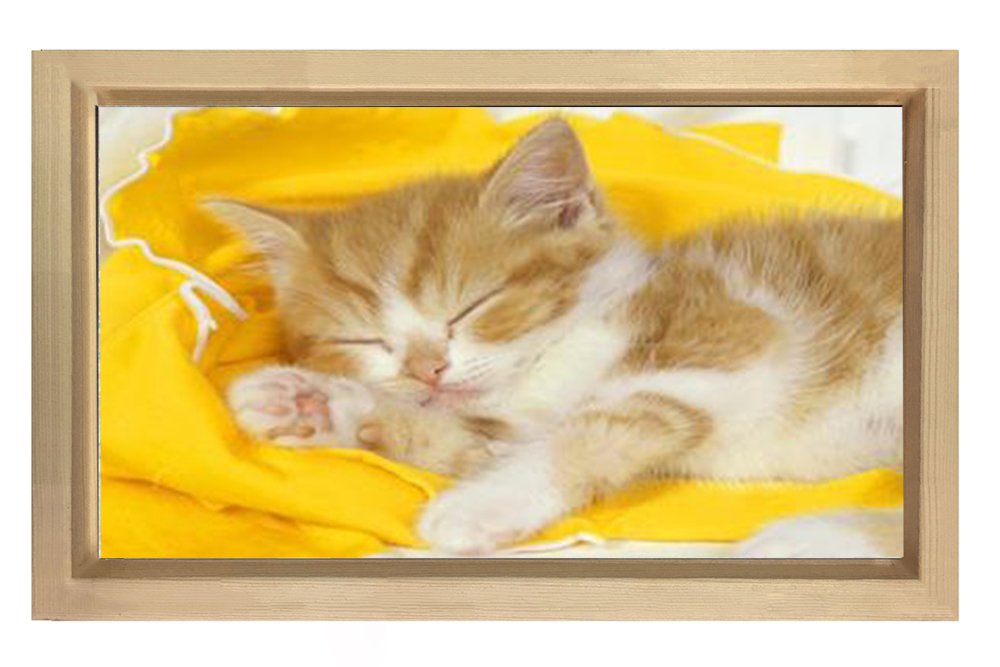 Kedi Tablosu Naturel Ahşap Çerçeve - 50x70