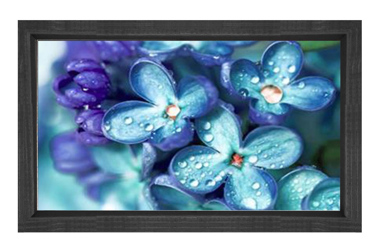 Mavi Menekşe Çiçekleri Tablosu Siyah Ahşap Çerçeve - 100x150