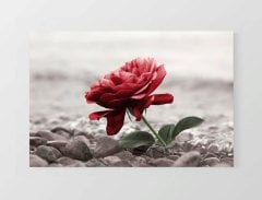Sİyah Beyaz Kırmızı Gül Tablosu Çerçevesiz - 100x200
