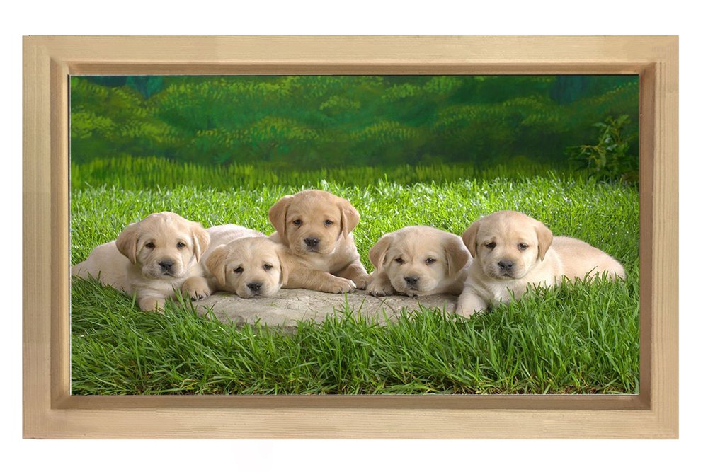 Sevimli Köpekler Tablosu Naturel Ahşap Çerçeve - 40x60