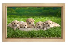 Sevimli Köpekler Tablosu Naturel Ahşap Çerçeve - 45x30