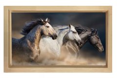 Vahşi Atlar Tablosu Naturel Ahşap Çerçeve - 50x90