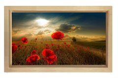 Gelincik ve Gökyüzü Manzara Tablosu Naturel Ahşap Çerçeve - 70x100