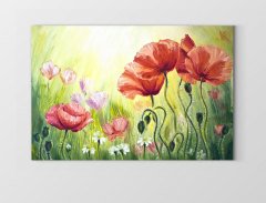 Kırmızı Gül ve Gelincik Çiçekleri Tablosu Çerçevesiz - 40x60