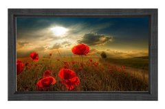 Gelincik ve Gökyüzü Manzara Tablosu Siyah Ahşap Çerçeve - 50x70