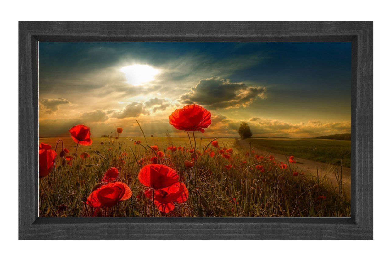 Gelincik ve Gökyüzü Manzara Tablosu Siyah Ahşap Çerçeve - 50x90