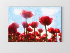 Gelincik Çiçekleri Reprödiksiyon Tablosu Çerçevesiz - 50x90