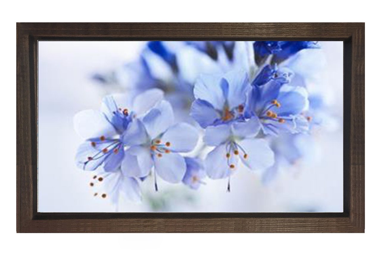 Mavi Menekşeler Çiçekler Tablosu Kahverengi Ahşap - 45x30
