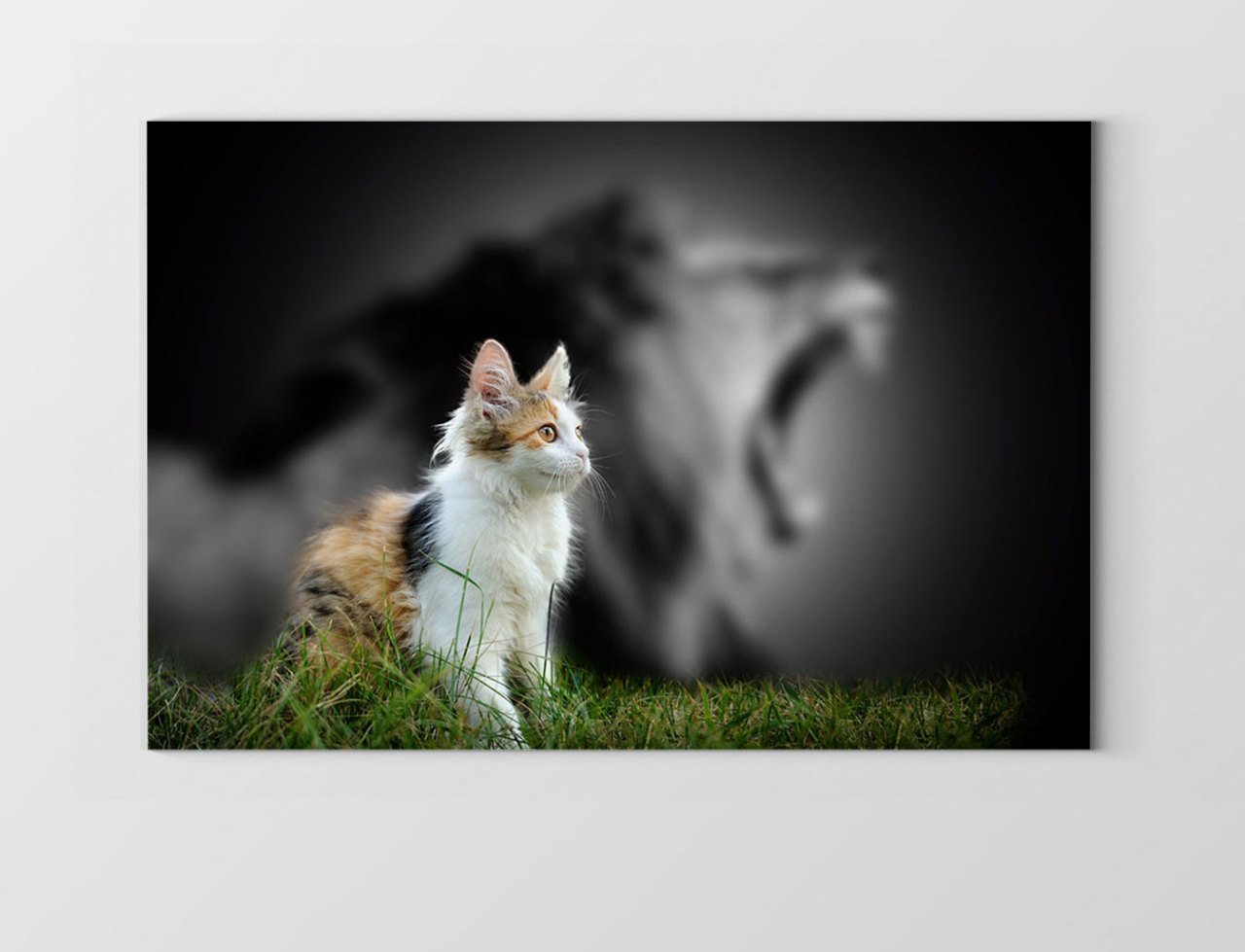 Sevimli Kedi Tablosu Çerçevesiz - 50x70