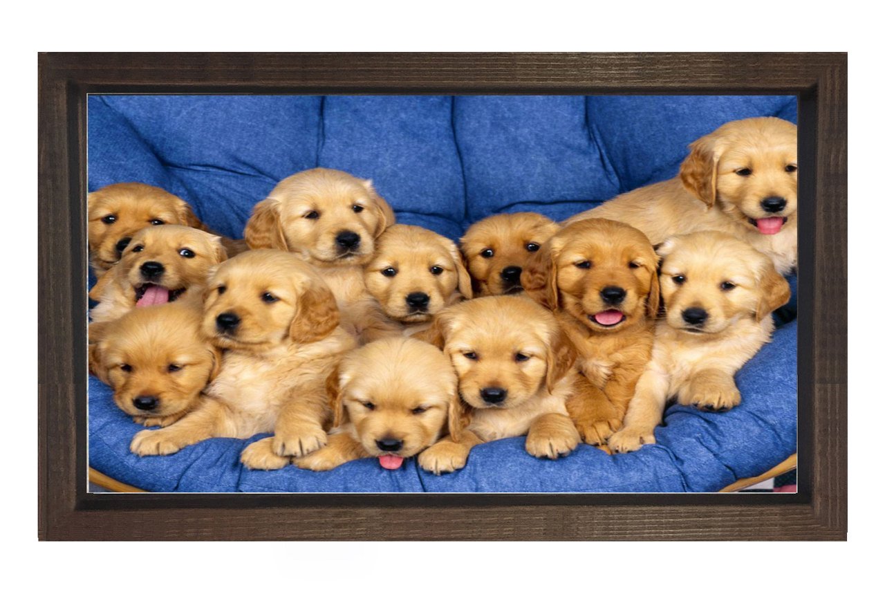 Sevimli Köpekler Tablosu Kahverengi Ahşap Çerçeve - 70x100