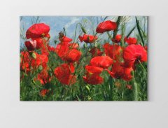 Kırmızı Gelincik Çiçekler Tablosu Çerçevesiz - 50x70