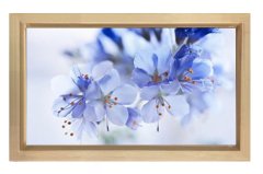 Mavi Menekşeler Çiçekler Tablosu Naturel Ahşap - 50x90