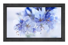 Mavi Menekşeler Çiçekler Tablosu Siyah Ahşap - 100x150
