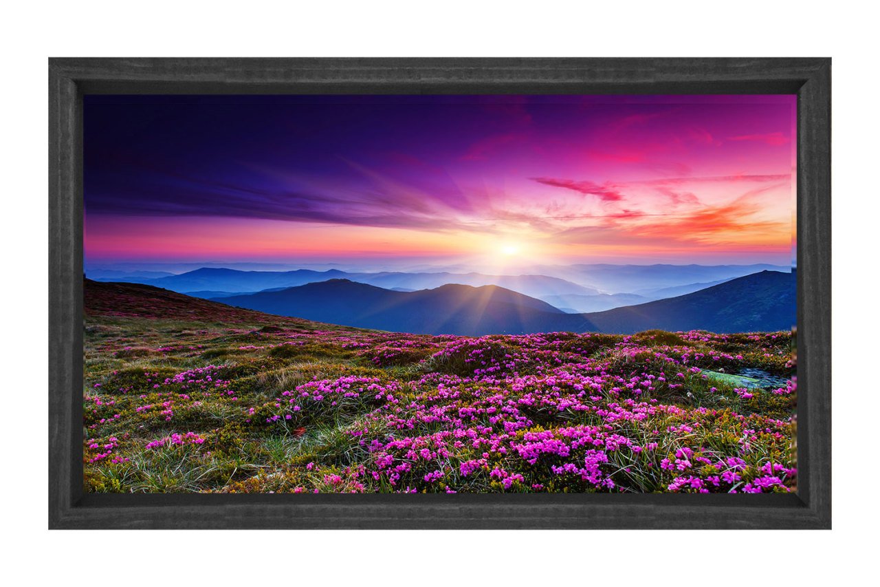 Mor Çiçek Tarlası Manzara Tablosu Siyah Ahşap - 40x60