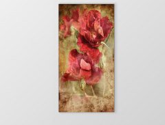 Gelincikler Tablosu Çerçevesiz - 45x30