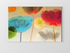 Renkli Gelincik Çiçekleri Tablosu Çerçevesiz - 45x30