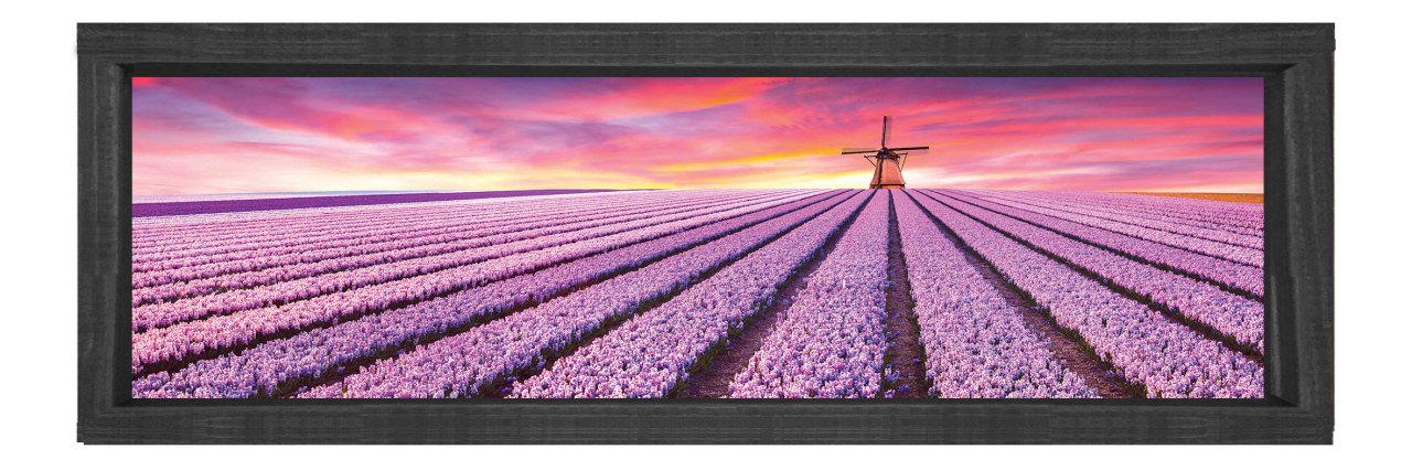 Mor Tarla Ve Yer Değirmeni Tablosu Siyah Ahşap Çerçeve - 120x40
