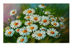 Papatyalılar Tablosu Çerçevesiz - 45x30