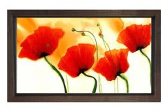 Kırmızı Gelincik Çiçekler Tablosu Kahverengi Ahşap Çerçeve - 100x150