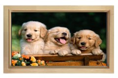 Köpekler Tablosu Naturel Ahşap Çerçeve - 70x100