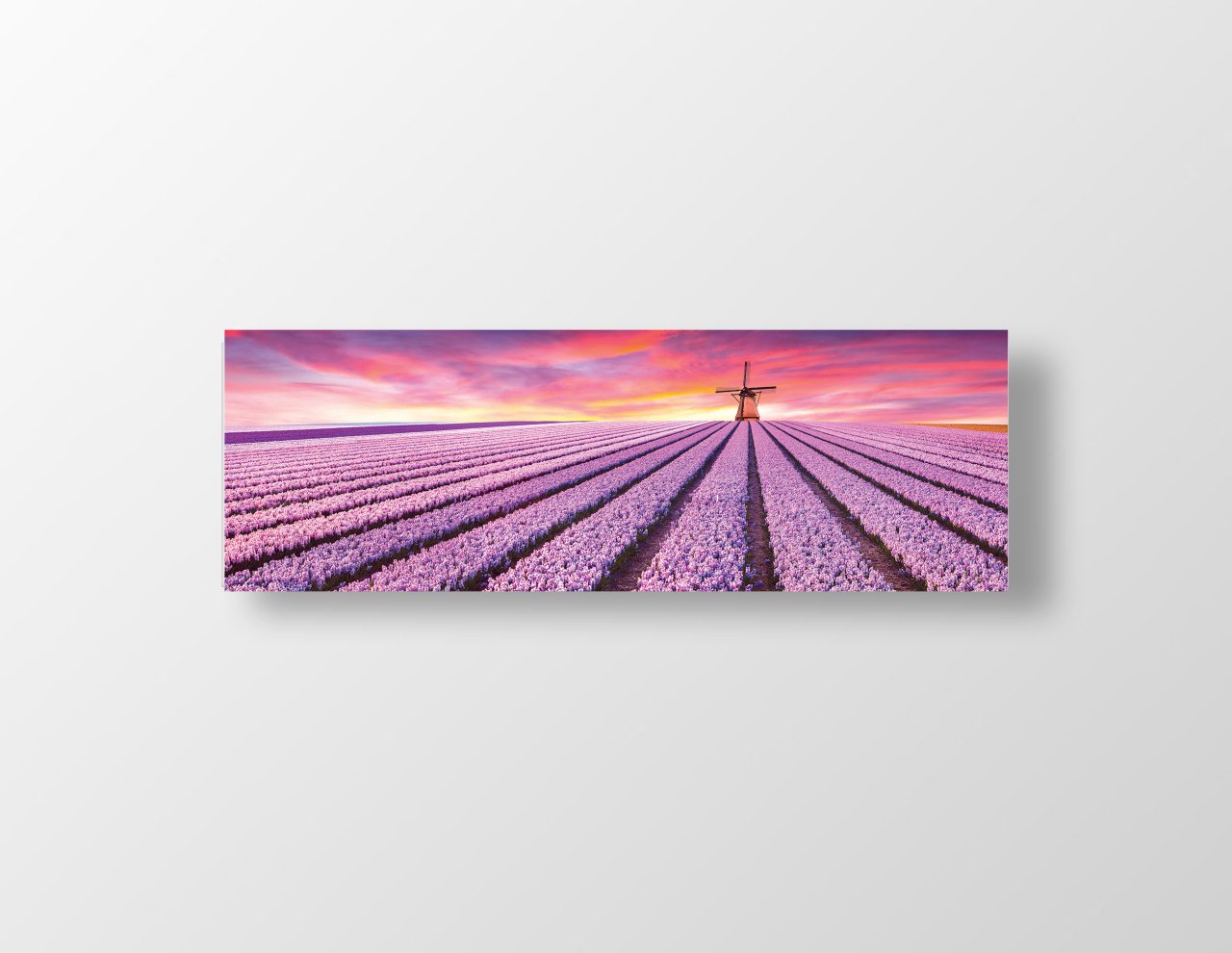 Mor Tarla Ve Yer Değirmeni Tablosu Çerçevesiz - 120x40