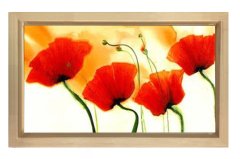 Kırmızı Gelincik Çiçekler Tablosu Naturel Ahşap Çerçeve - 45x30