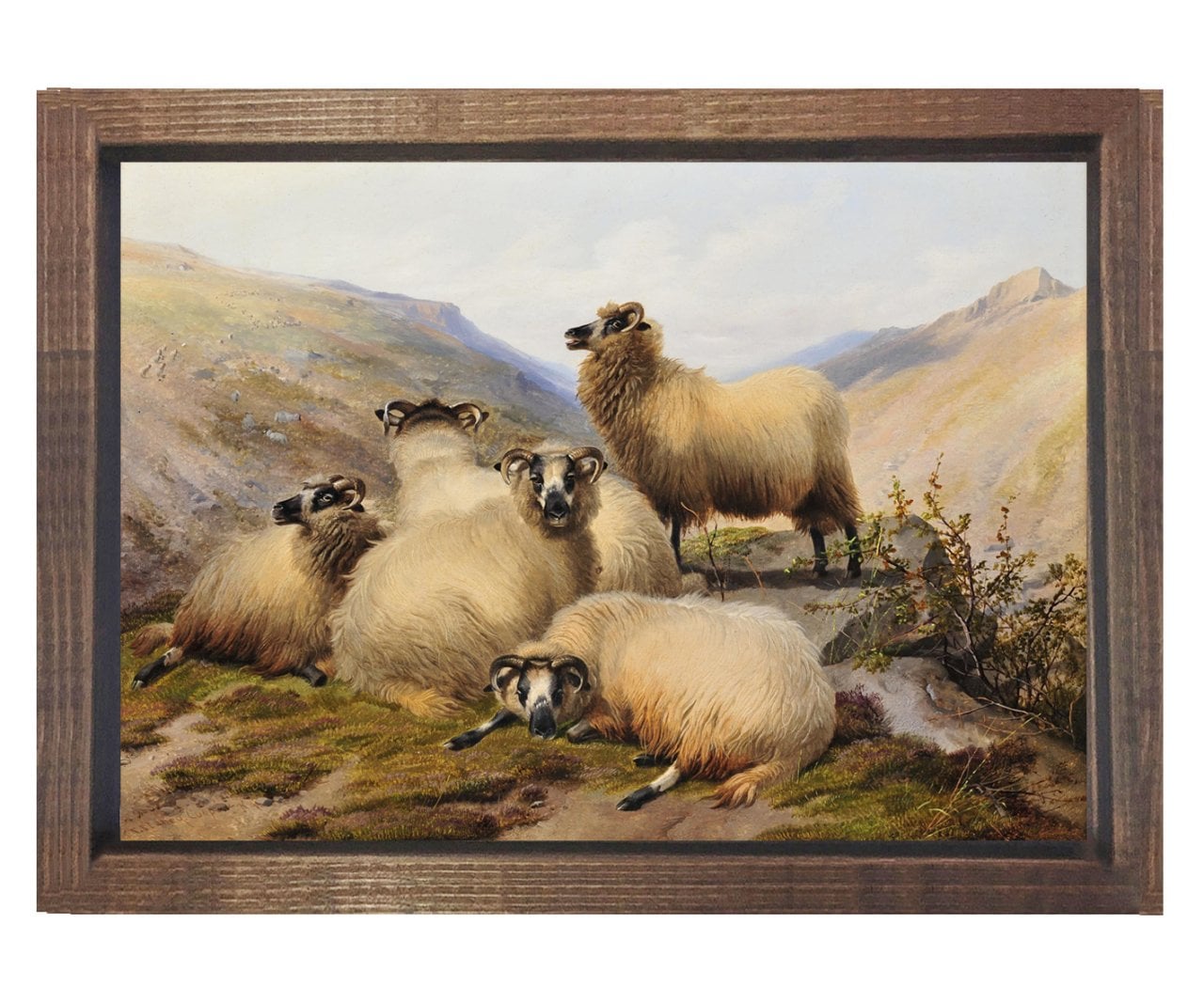 Koçlar Tablosu Kahverengi Ahşap Çerçeve - 50x90