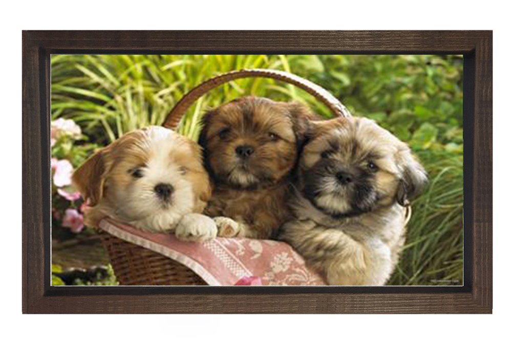 Yavru Köpekler Tablosu Kahverengi Ahşap Çerçeve - 50x70