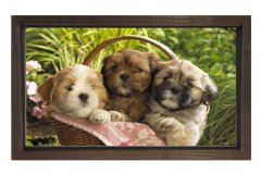 Yavru Köpekler Tablosu Kahverengi Ahşap Çerçeve - 50x90