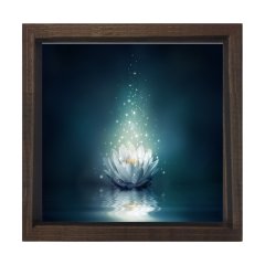 Beyaz Nilüfer Çiçek Tablosu Kahverengi Ahşap Çerçeve - 100x100