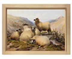 Koçlar Tablosu Naturel Ahşap Çerçeve - 50x70
