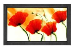 Kırmızı Gelincik Çiçekler Tablosu Siyah Ahşap Çerçeve - 50x70