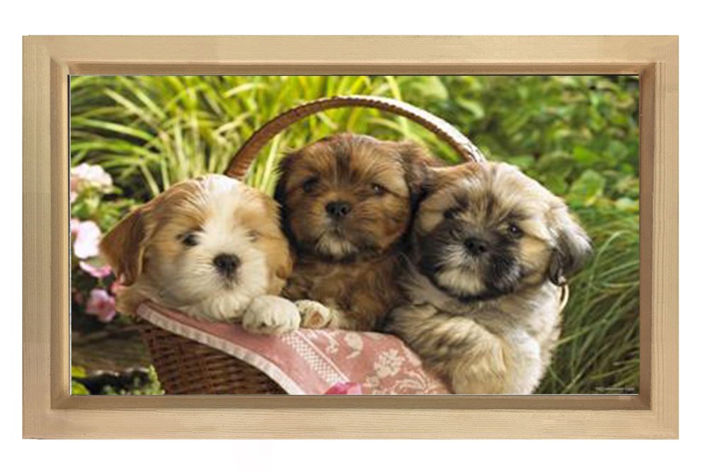 Yavru Köpekler Tablosu Naturel Ahşap Çerçeve - 40x60