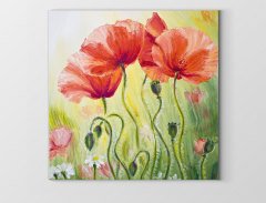 Gelincikler Çiçekj Reprödiksiyon Tablosu Çerçevesiz - 70x70