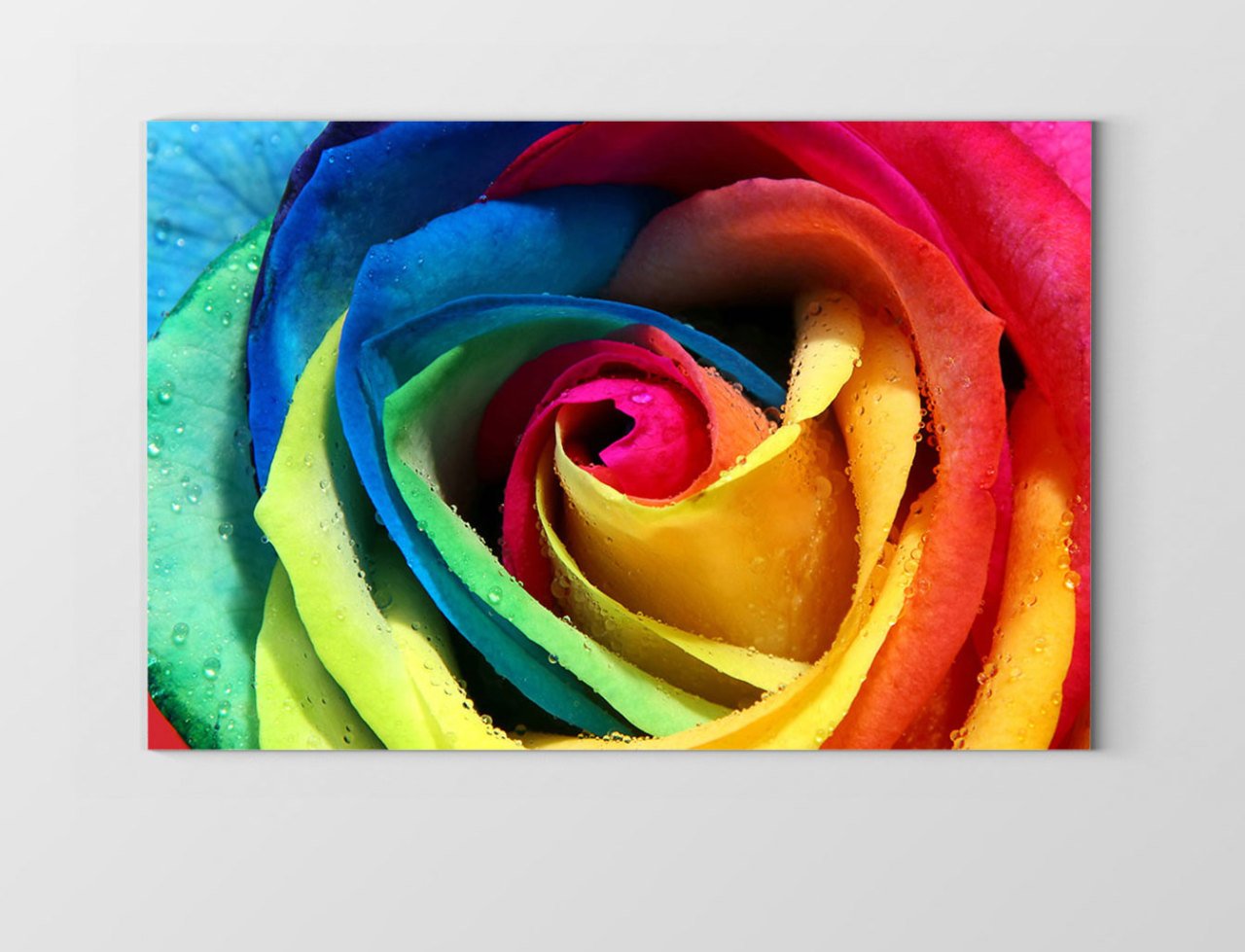 Renkli Gül Çiçeği Tablosu Çerçevesiz - 40x60
