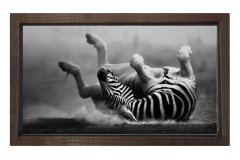 Zebra Tablosu Kahverengi Ahşap - 50x90
