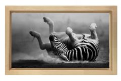 Zebra Tablosu Naturel Ahşap - 100x150