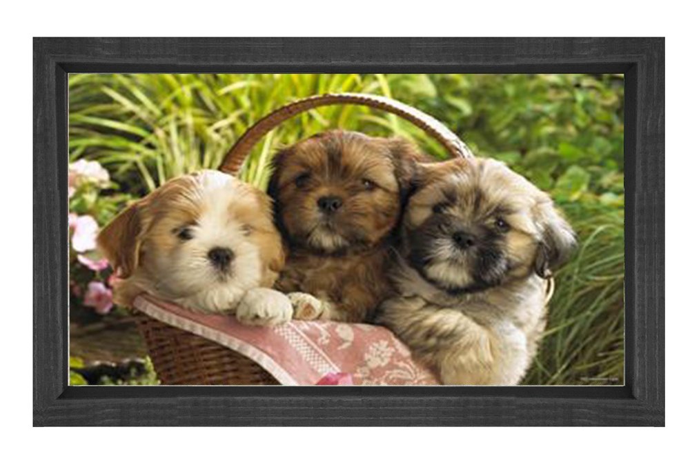 Yavru Köpekler Tablosu Siyah Ahşap Çerçeve - 45x30