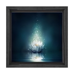 Beyaz Nilüfer Çiçek Tablosu Siyah Ahşap Çerçeve - 100x100